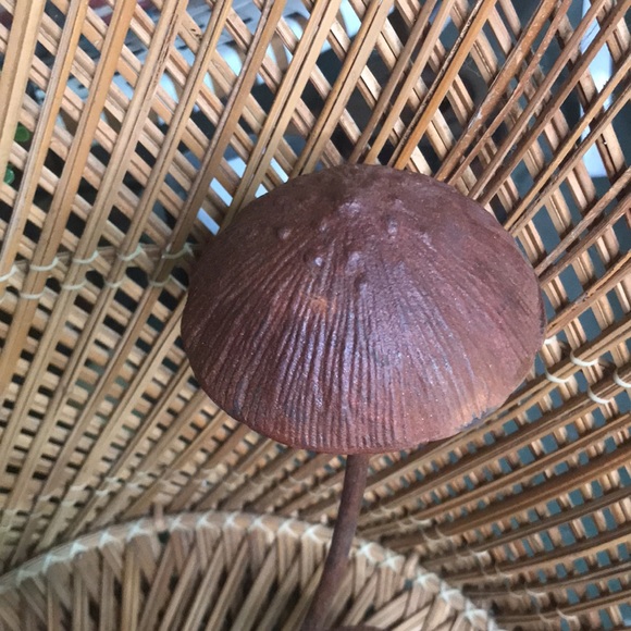 Anthropologie Whimsical Rustic Patina Iron Multiple Mushroom Tabletop Decor 🍄 - Picture 7 of 16